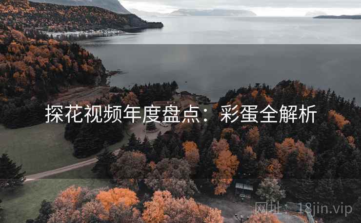探花视频年度盘点：彩蛋全解析