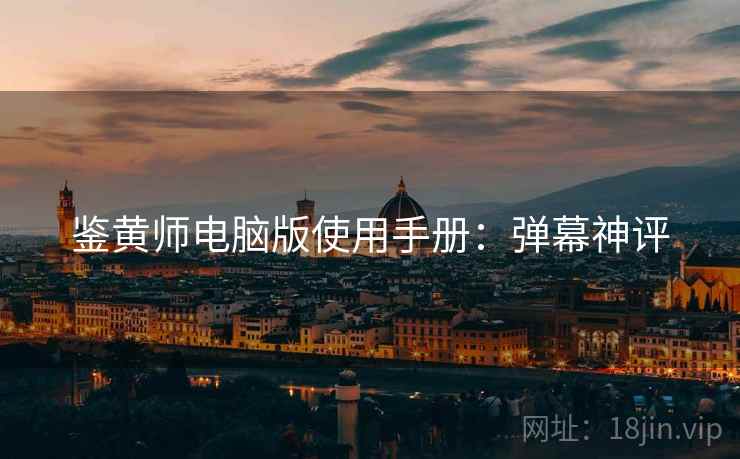 鉴黄师电脑版使用手册：弹幕神评